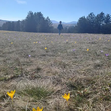 Moj Horizont شقة *