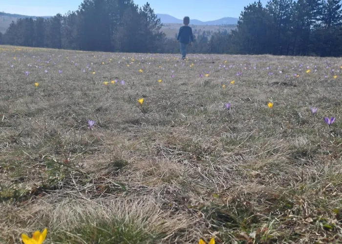 Moj Horizont 아파트 *