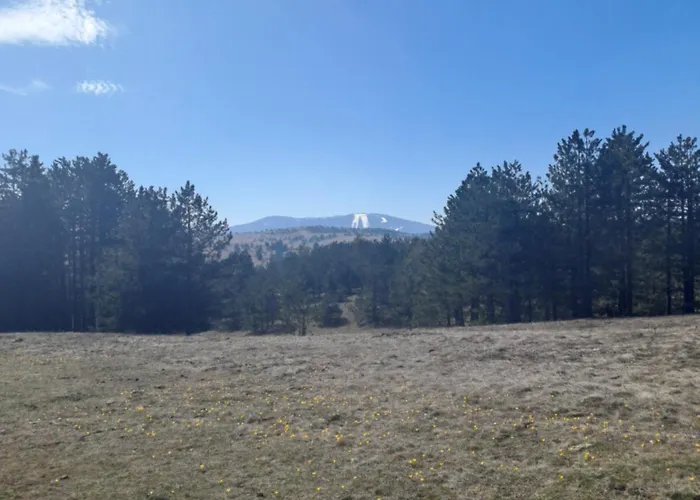 아파트 Moj Horizont