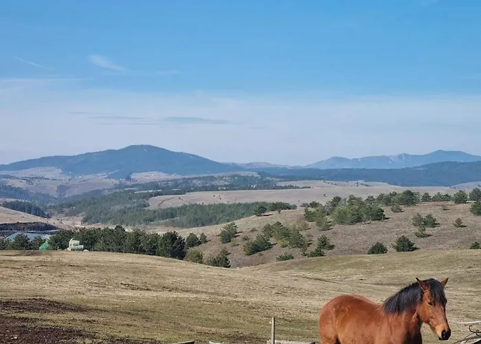 Moj Horizont * 즐라티보